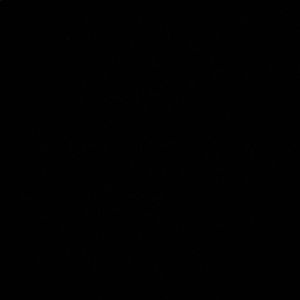 Meet your Posher, Lyron